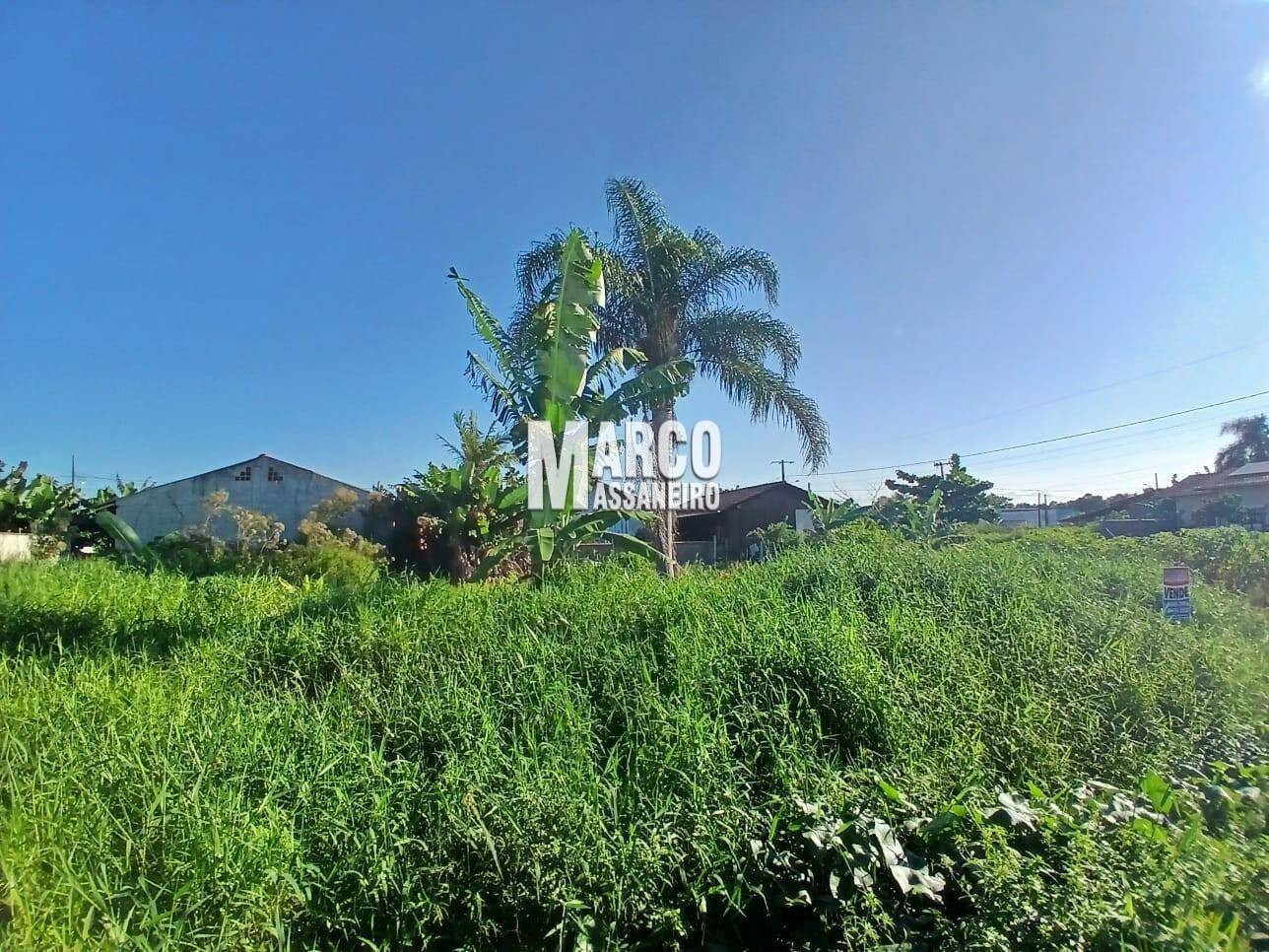 Terreno, 345 m² - Foto 7