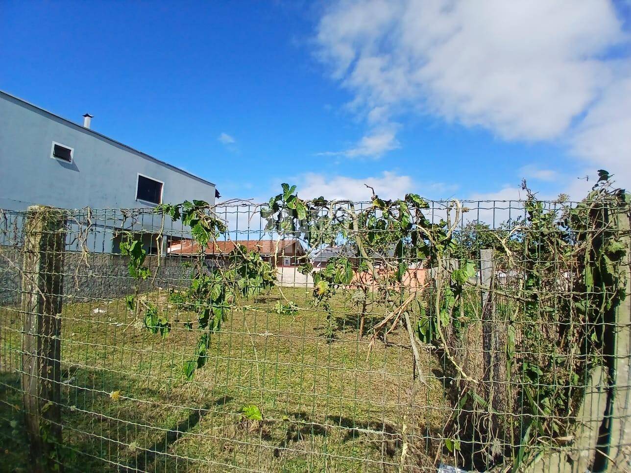 Terreno, 286 m² - Foto 6