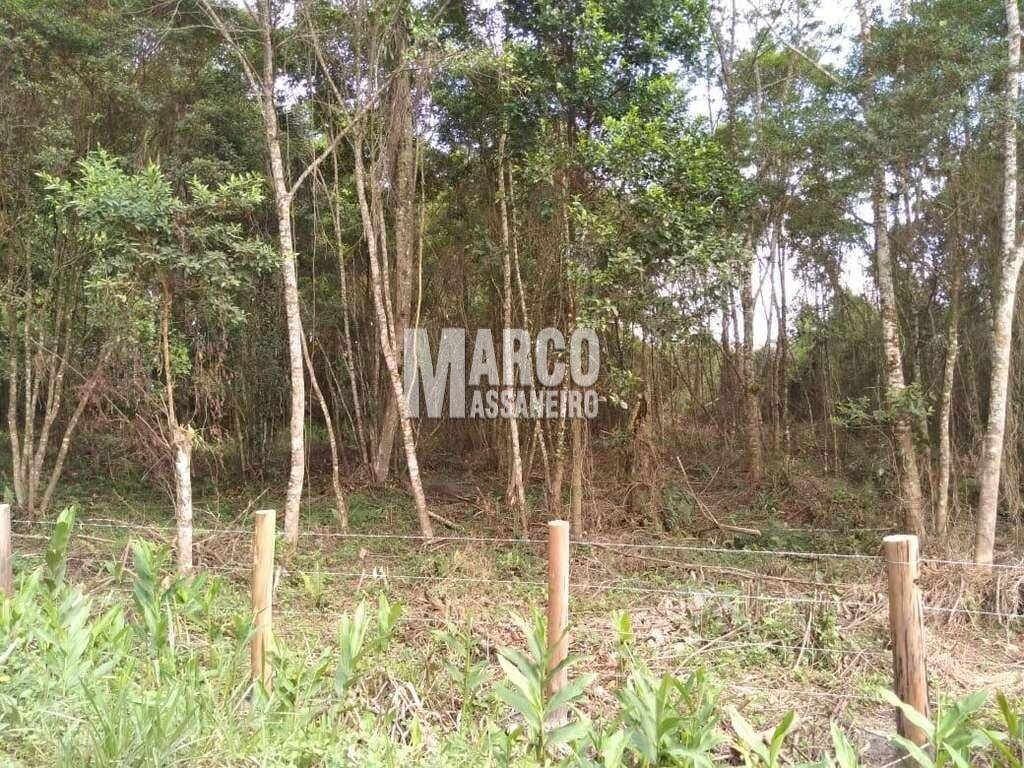 Terreno, 4 hectares - Foto 3