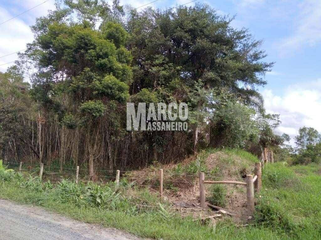 Terreno, 4 hectares - Foto 4