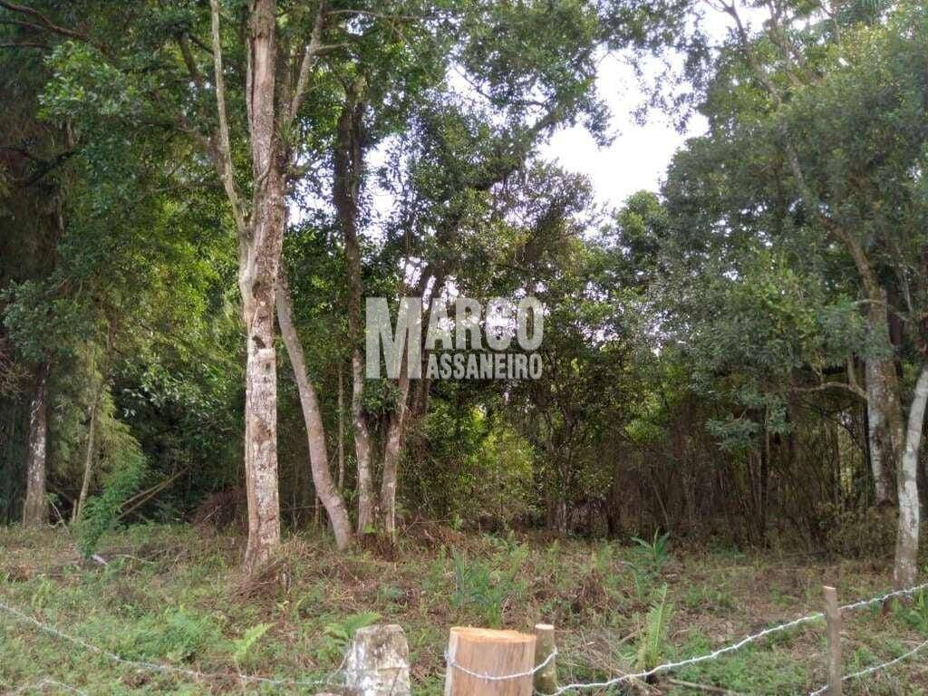 Terreno, 4 hectares - Foto 5