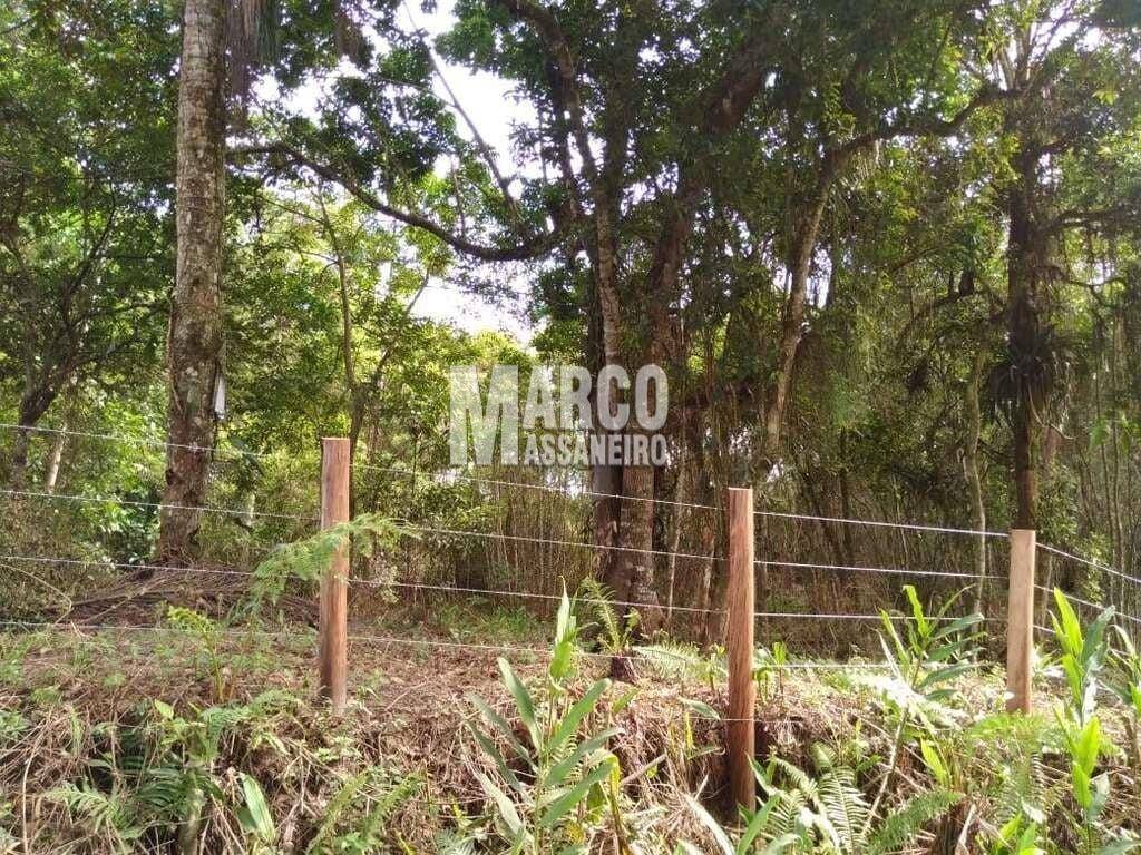 Terreno, 4 hectares - Foto 6