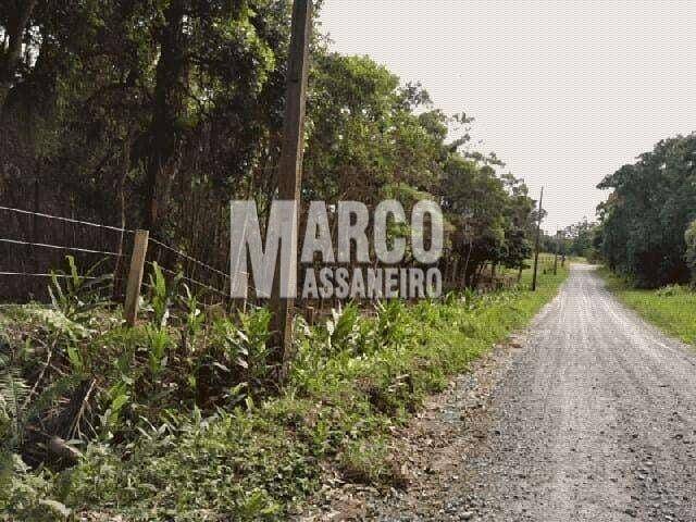 Terreno, 4 hectares - Foto 7