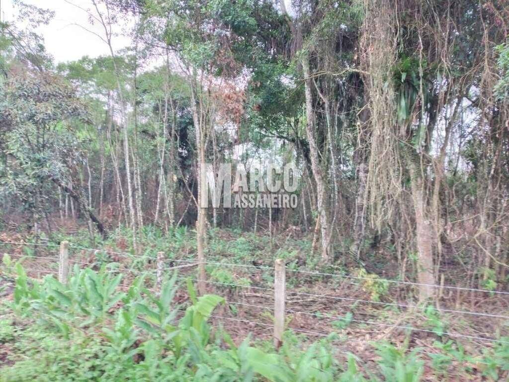 Terreno, 4 hectares - Foto 8