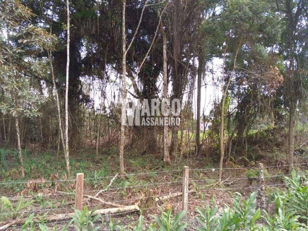 Terreno, 4 hectares - Foto 9