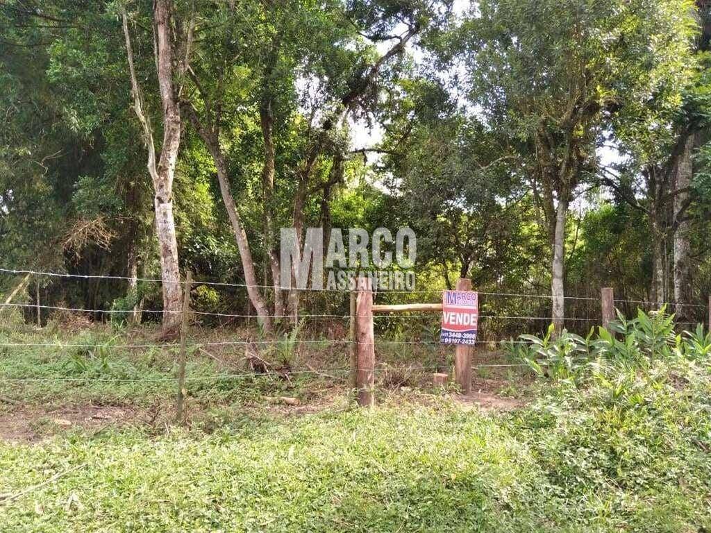 Terreno, 4 hectares - Foto 10