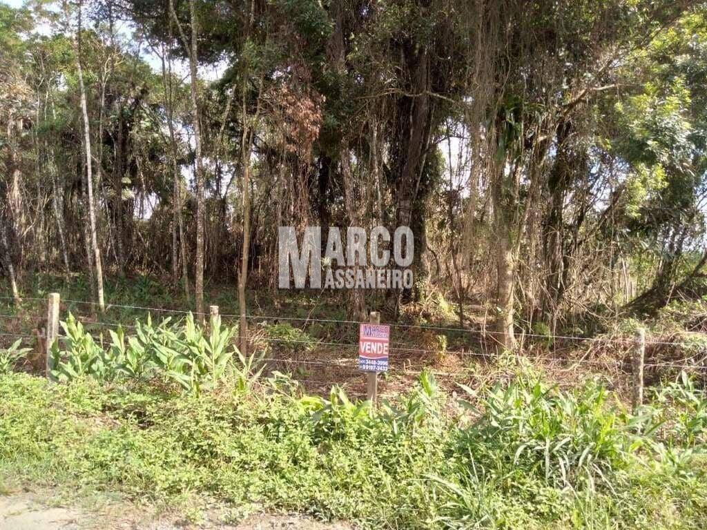 Terreno, 4 hectares - Foto 11