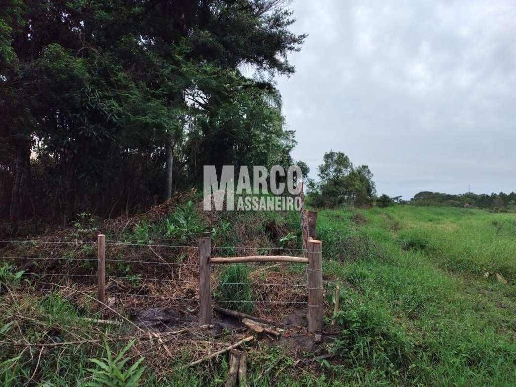 Terreno, 4 hectares - Foto 12