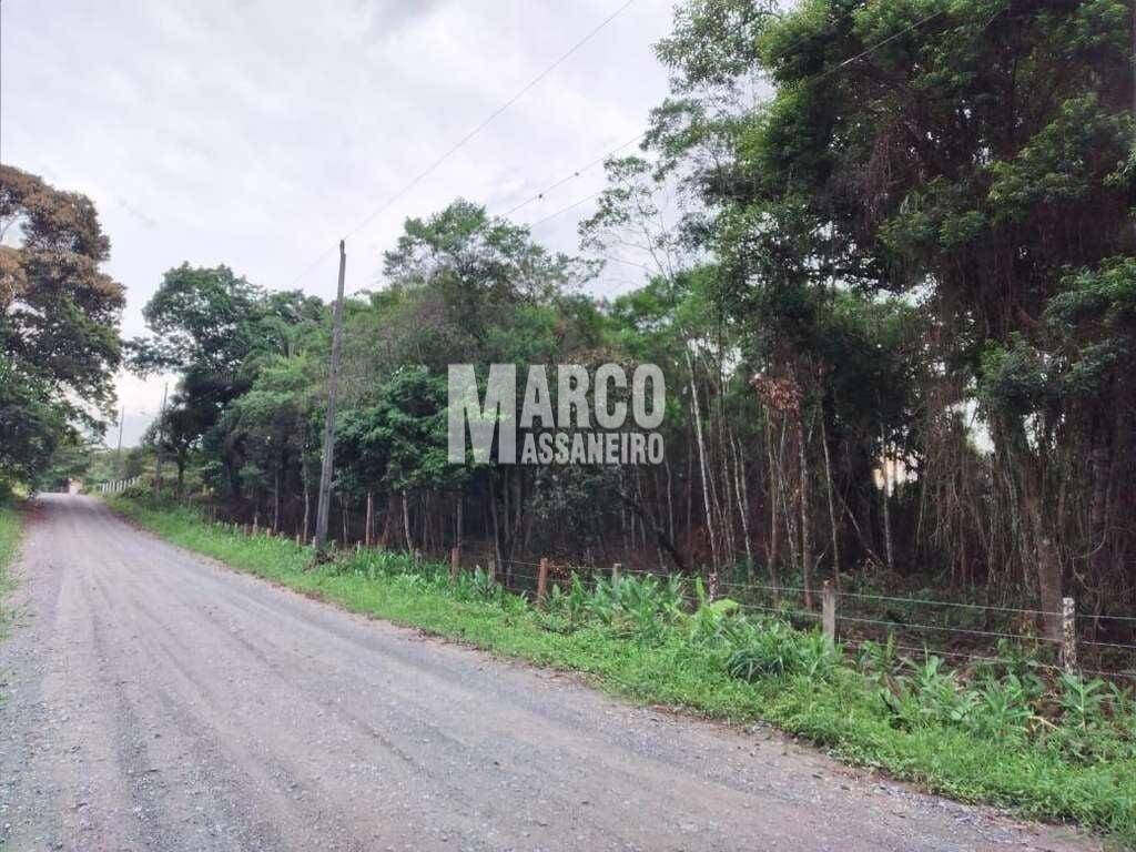 Terreno, 4 hectares - Foto 13