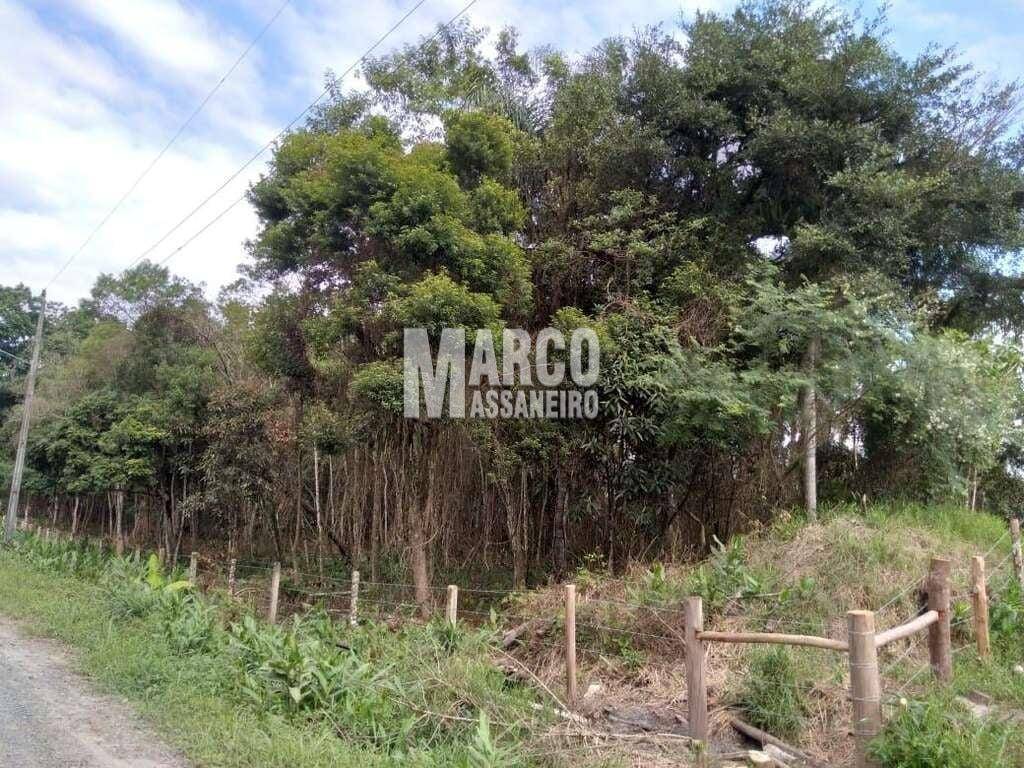Terreno, 4 hectares - Foto 14