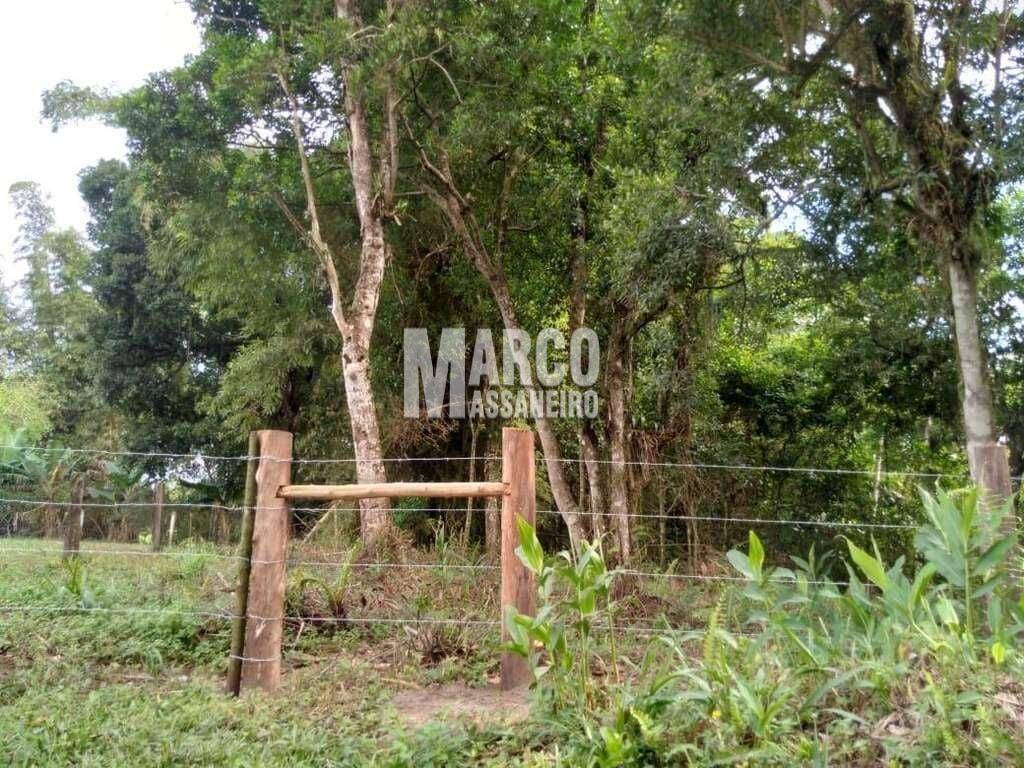 Terreno, 4 hectares - Foto 15