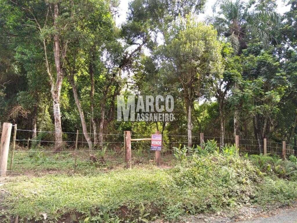 Terreno, 4 hectares - Foto 16