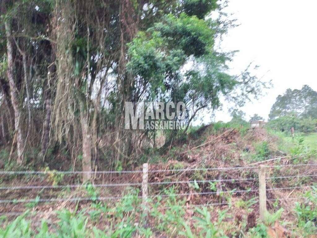 Terreno, 4 hectares - Foto 17