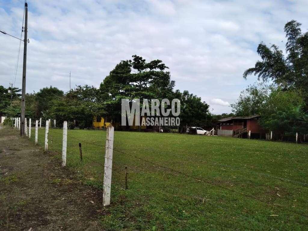 Terreno, 2 hectares - Foto 4