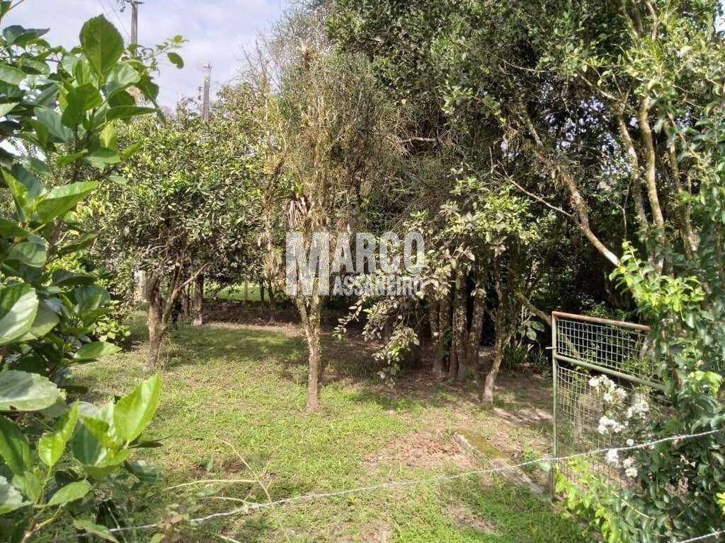 Terreno, 2 hectares - Foto 7