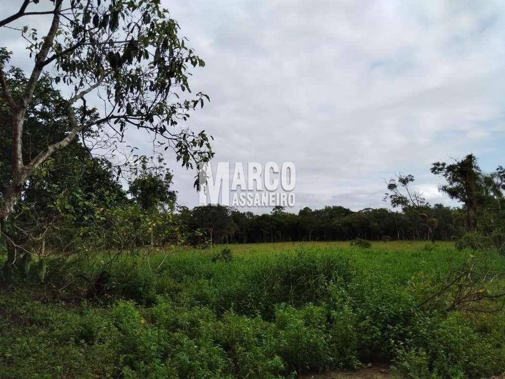 Terreno, 2 hectares - Foto 10