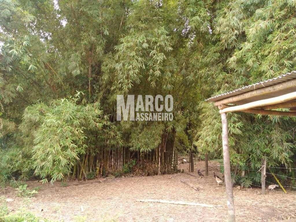 Terreno, 2 hectares - Foto 11