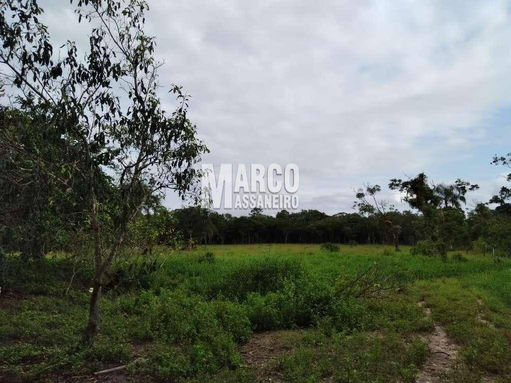 Terreno, 2 hectares - Foto 13