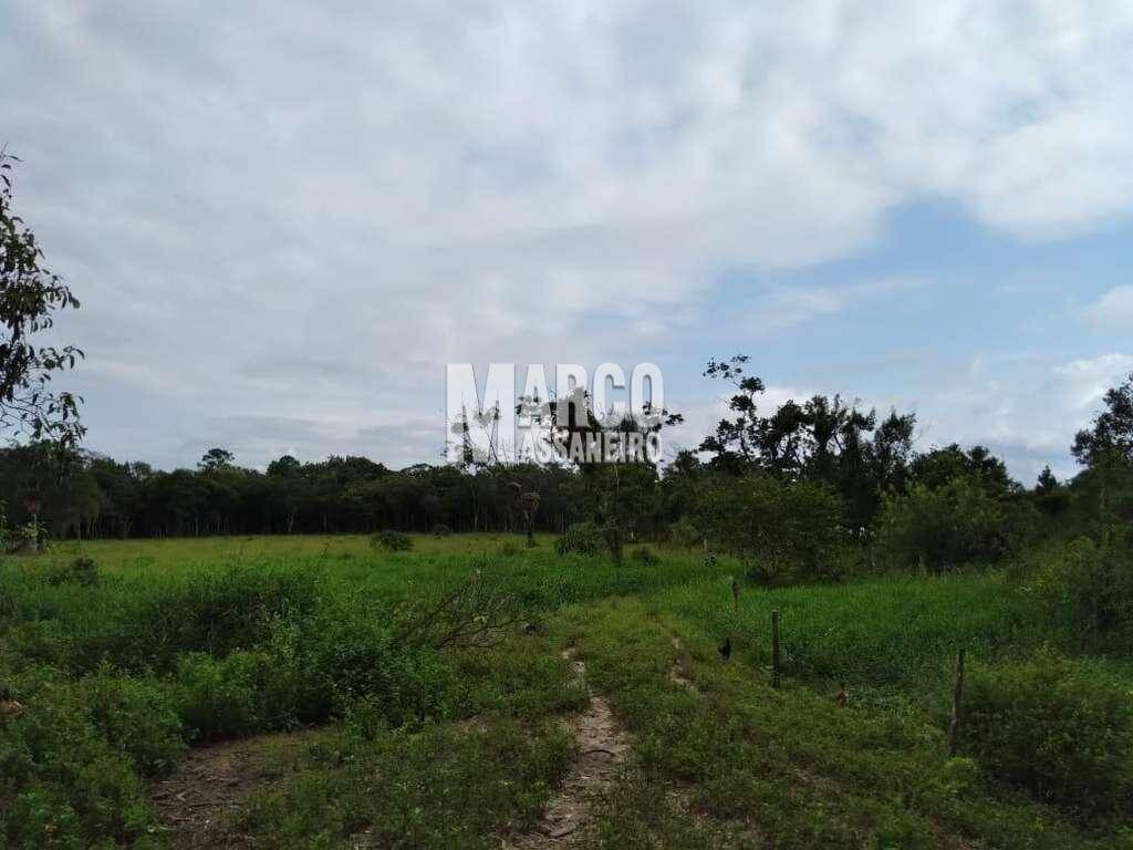 Terreno, 2 hectares - Foto 14