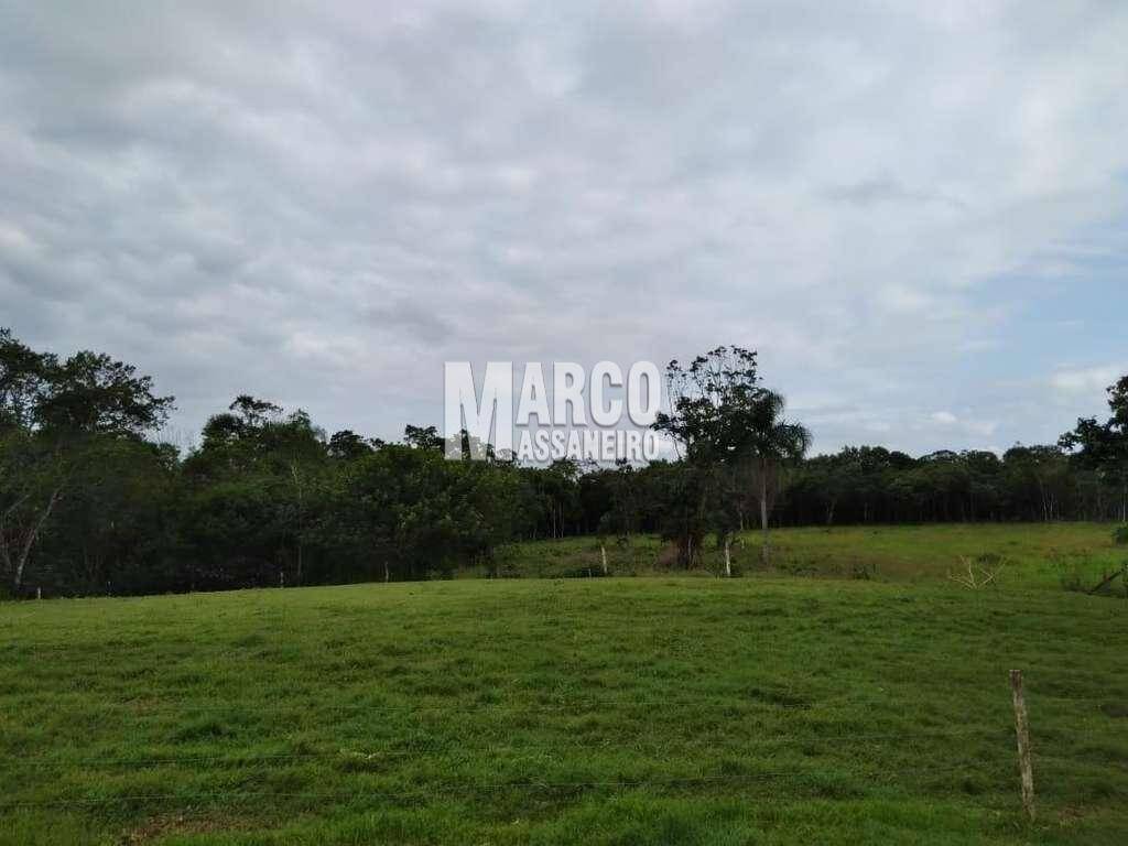 Terreno, 2 hectares - Foto 19