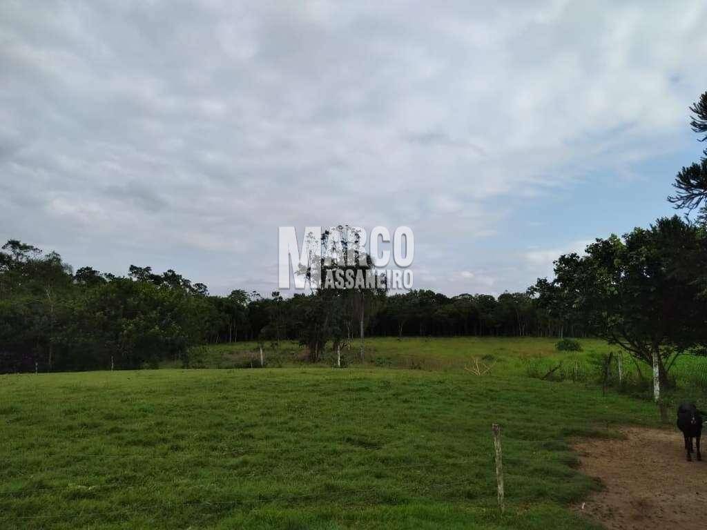 Terreno, 2 hectares - Foto 20