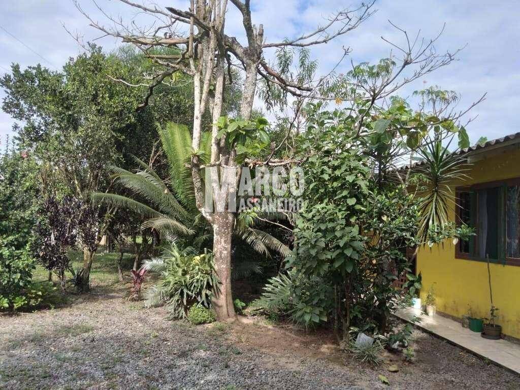 Terreno, 2 hectares - Foto 23