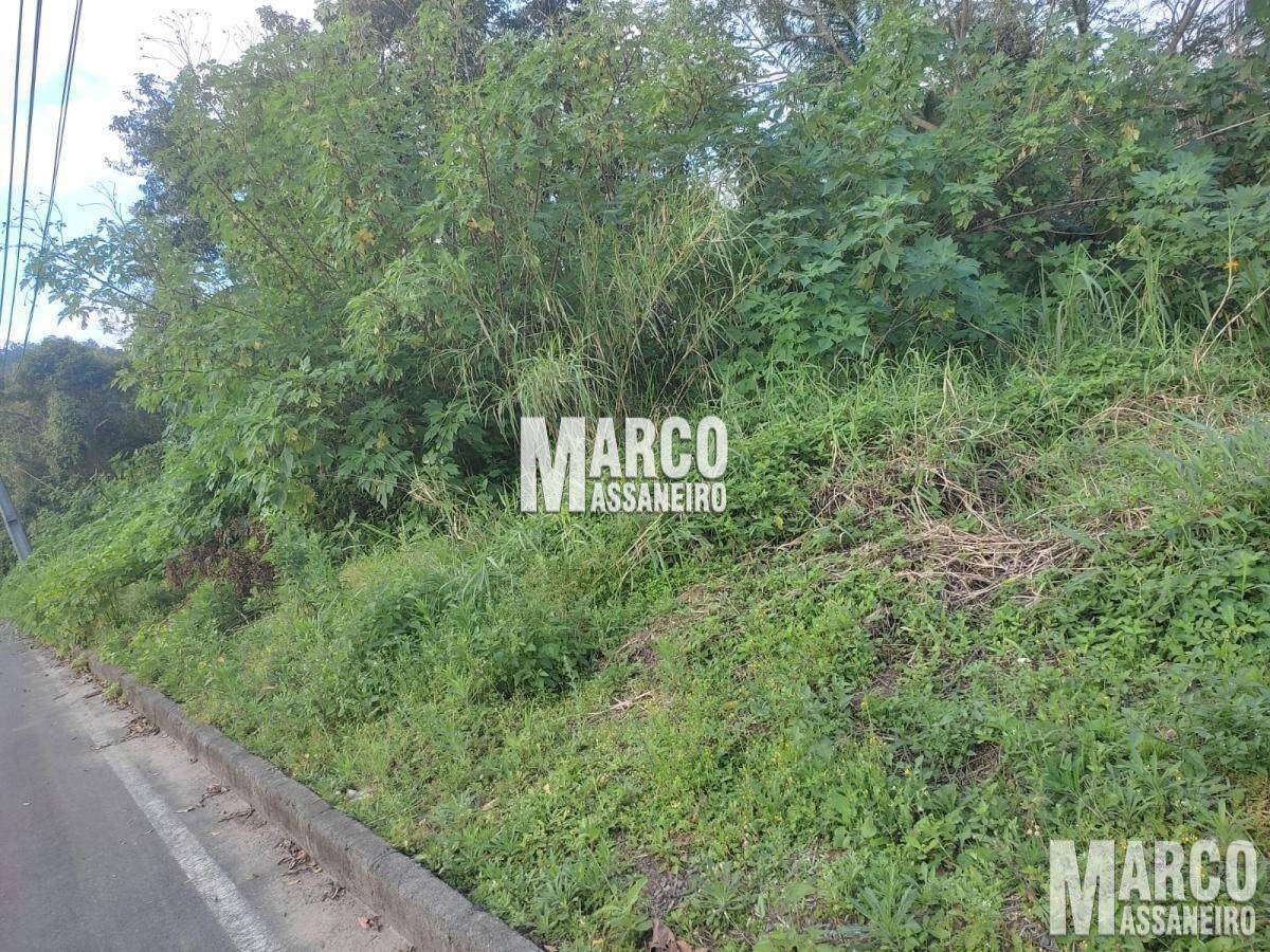 Terreno, 1087 m² - Foto 6