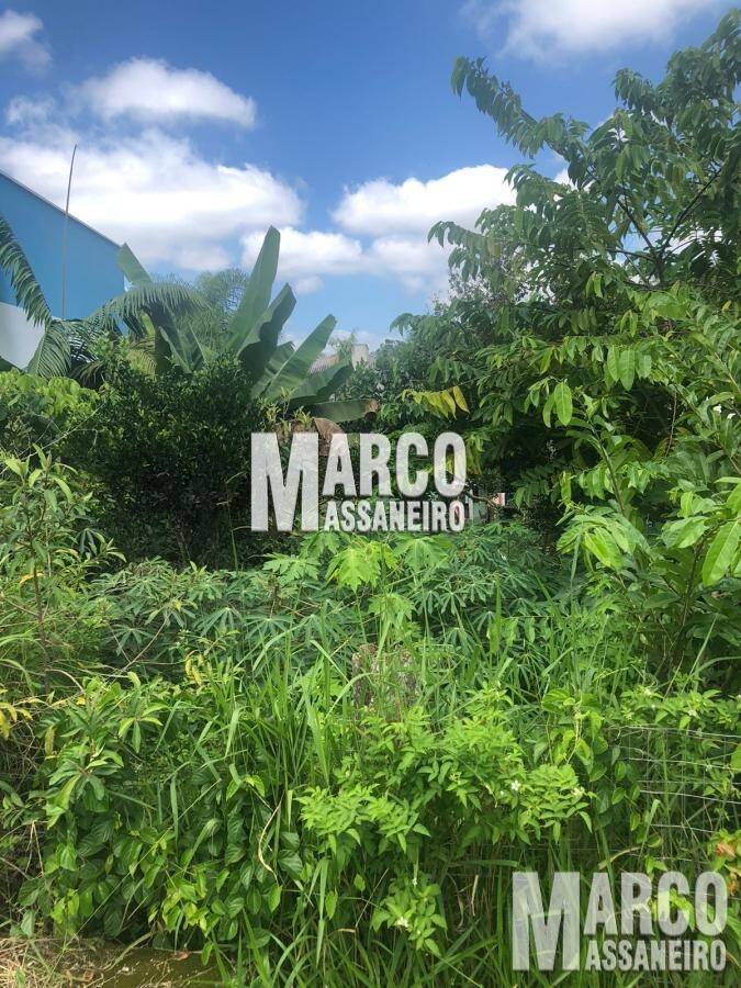 Chácara, 3 quartos, 1200 m² - Foto 6