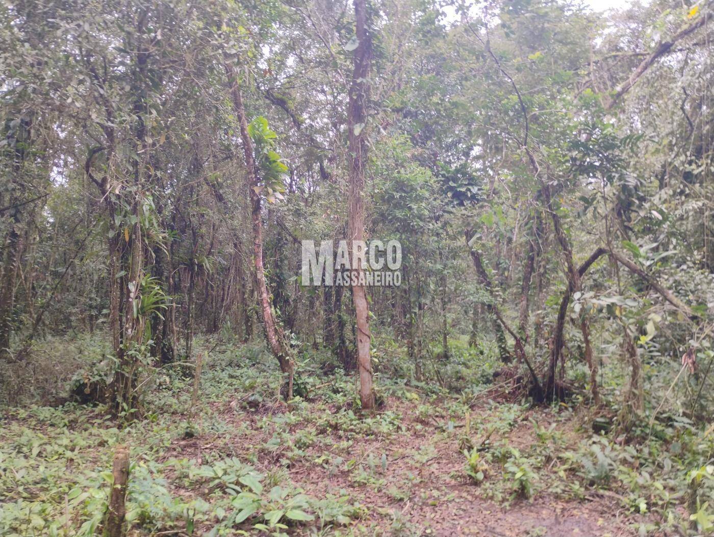 Terreno, 2182 m² - Foto 3