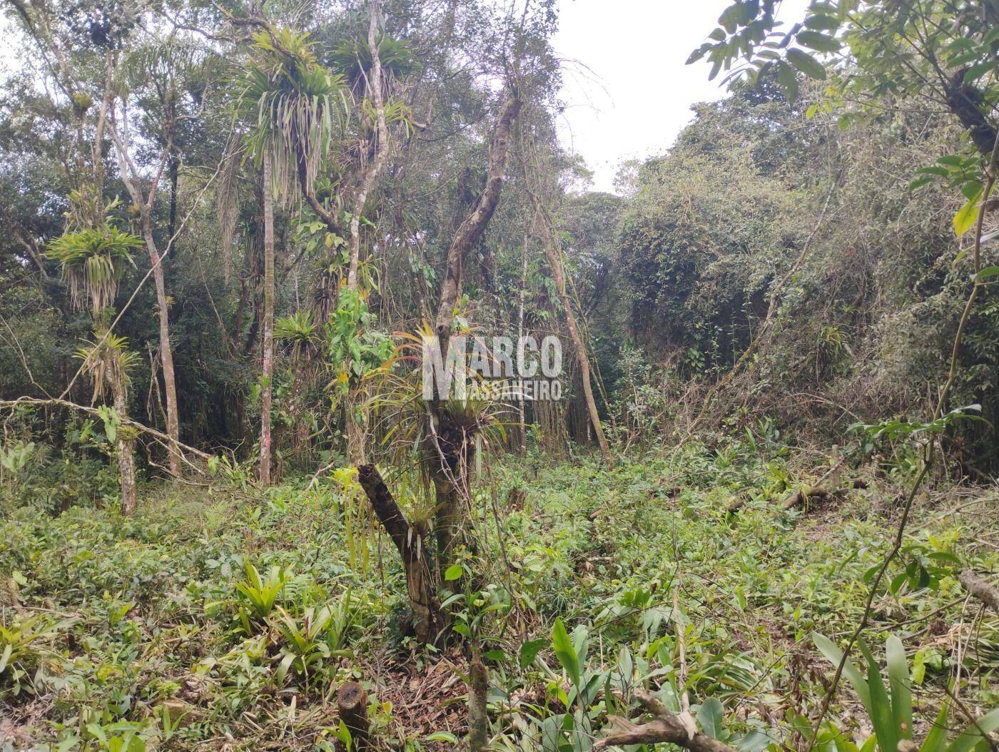 Terreno, 2182 m² - Foto 4