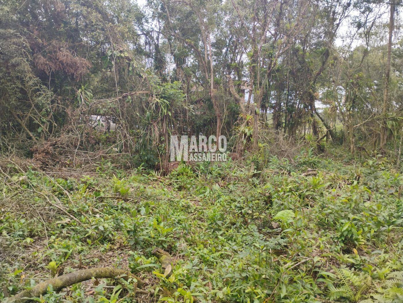 Terreno, 2182 m² - Foto 6