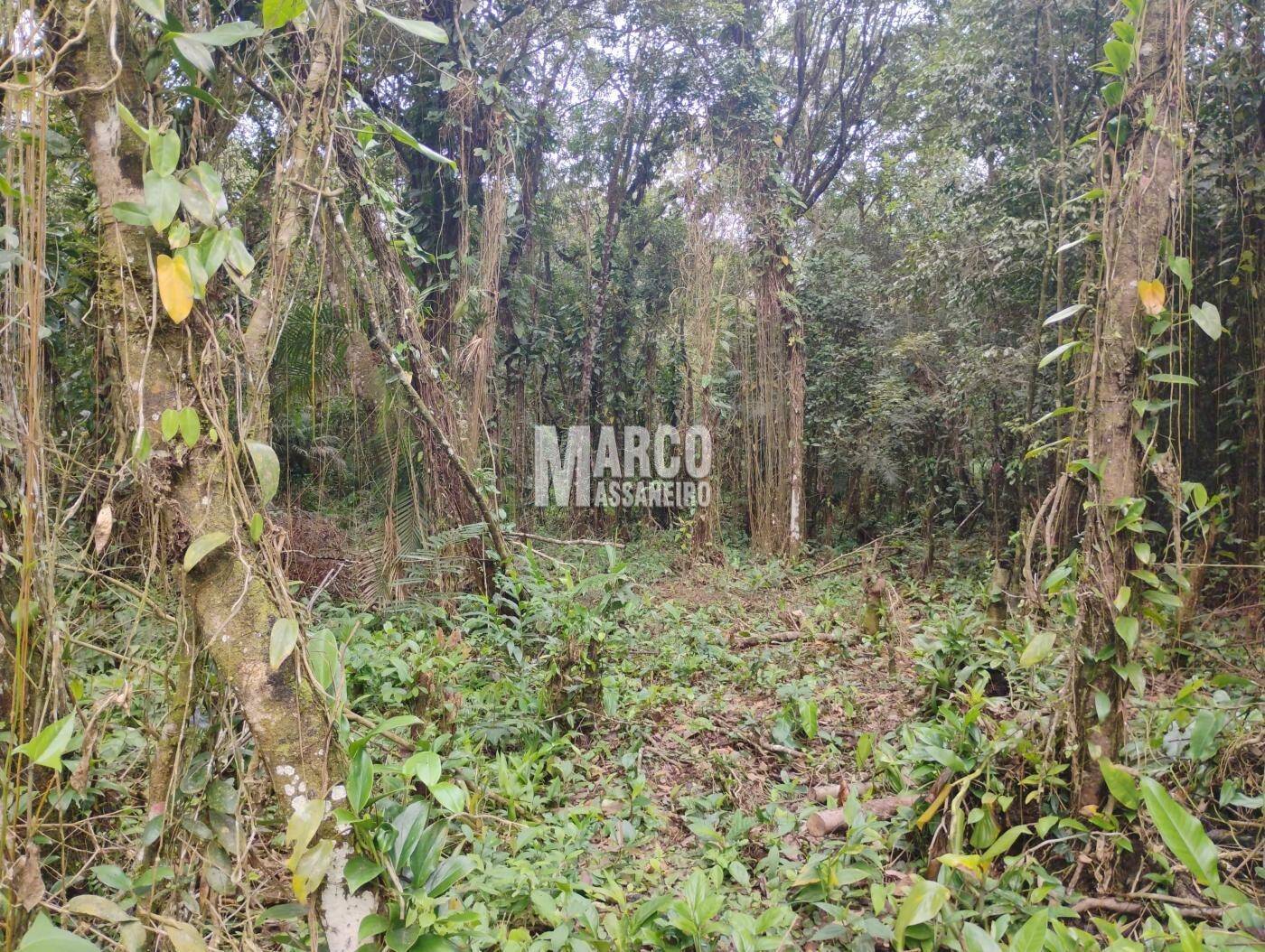 Terreno, 2182 m² - Foto 7