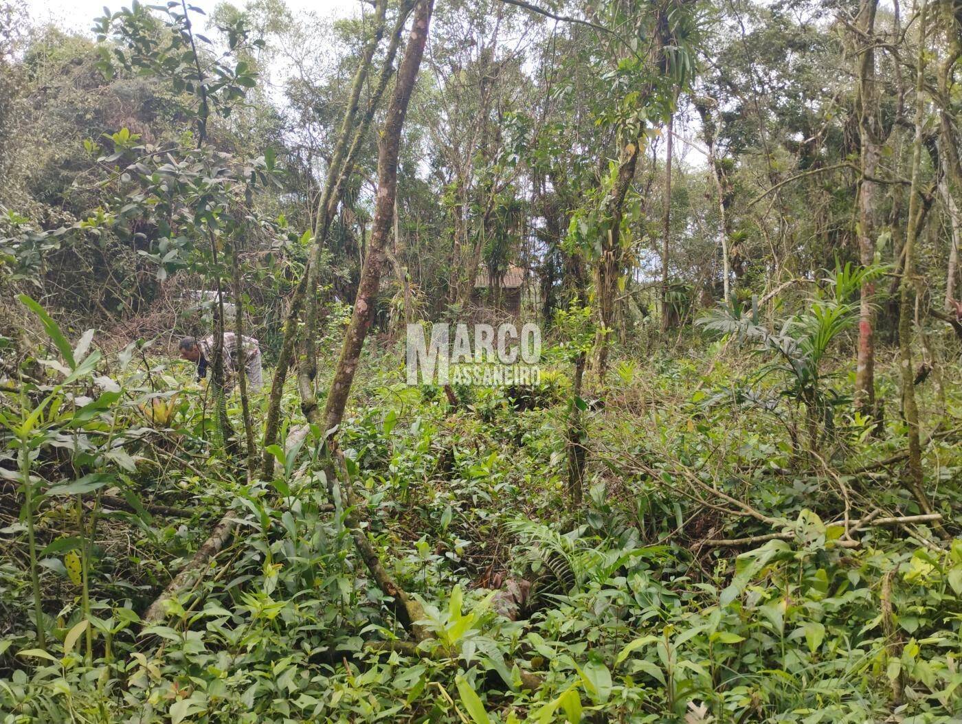 Terreno, 2182 m² - Foto 8