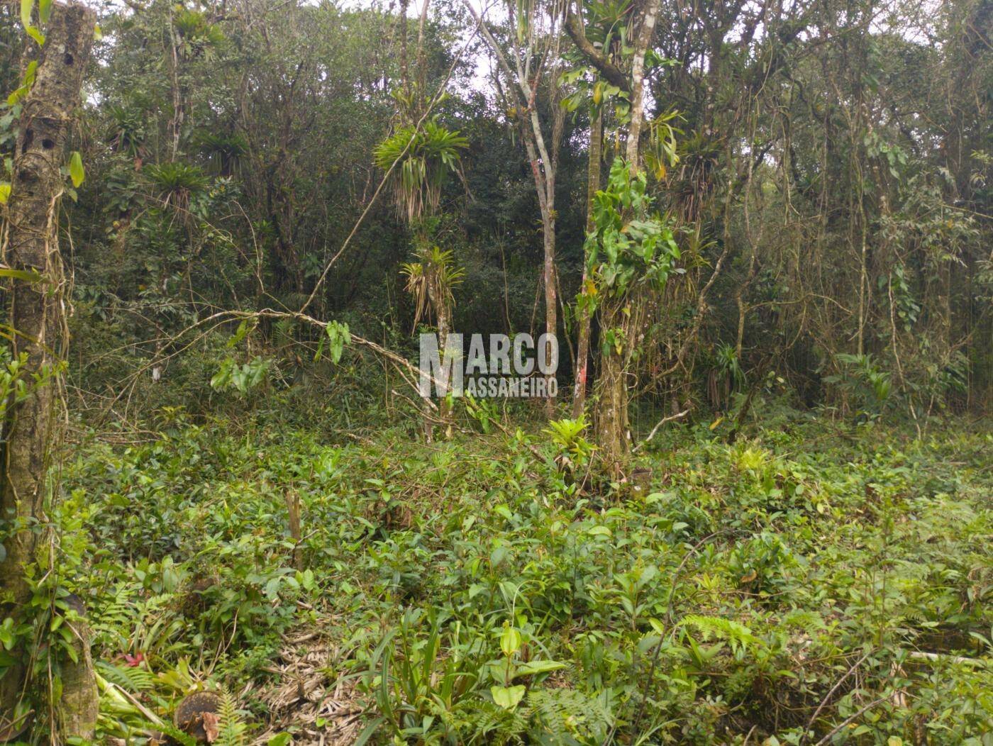 Terreno, 2182 m² - Foto 10