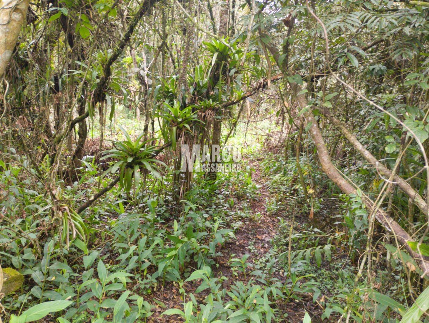 Terreno, 2182 m² - Foto 11