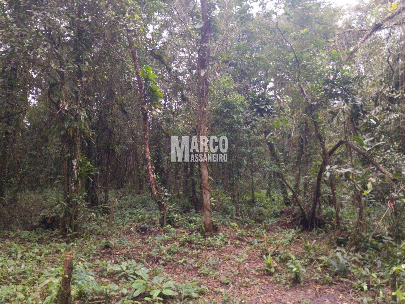 Terreno, 2182 m² - Foto 12