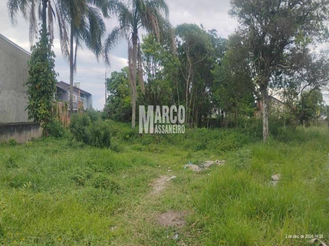 #802 - Terreno para Venda em Balneário Barra do Sul - SC - 3