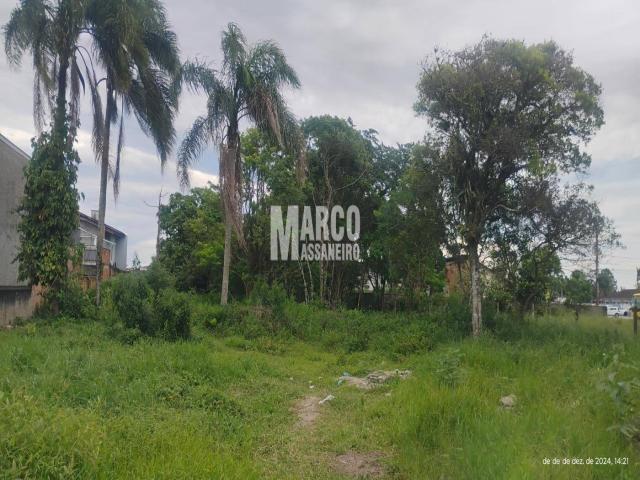 Terreno para Venda em Balneário Barra do Sul - 4