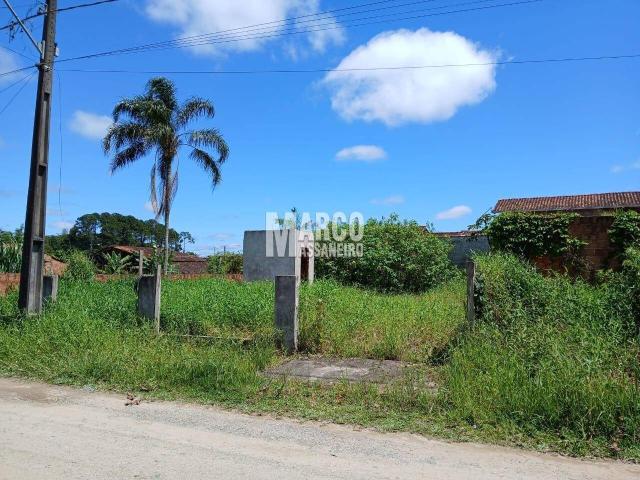 #442 - Terreno para Venda em Balneário Barra do Sul - SC - 1
