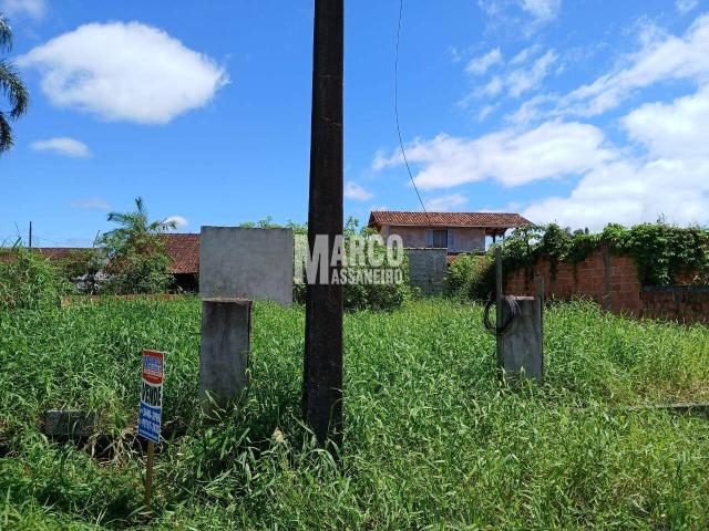 #442 - Terreno para Venda em Balneário Barra do Sul - SC - 2