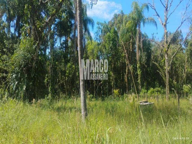 #816 - Terreno para Venda em Balneário Barra do Sul - SC