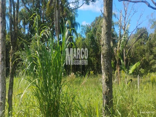 #816 - Terreno para Venda em Balneário Barra do Sul - SC