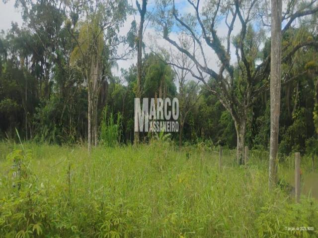 Terreno para Venda em Balneário Barra do Sul - 4