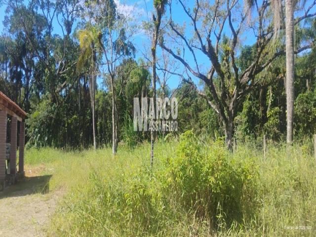 Terreno para Venda em Balneário Barra do Sul - 5