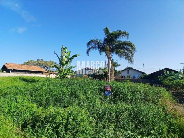 #850 - Terreno para Venda em Balneário Barra do Sul - SC