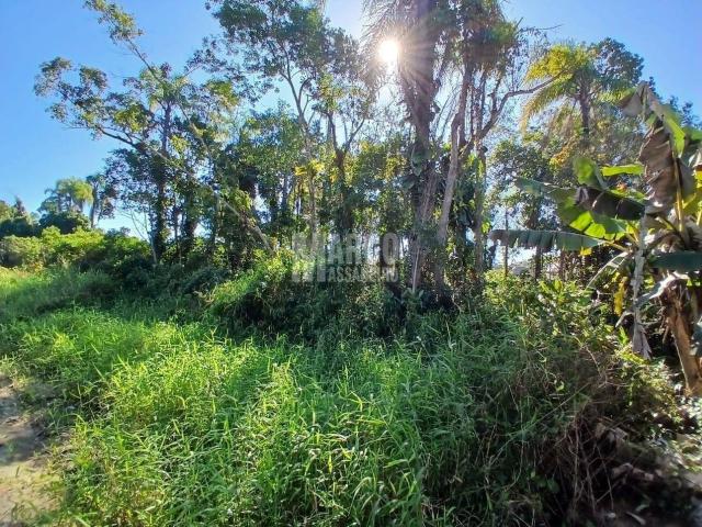 Terreno para Venda em Balneário Barra do Sul / SC no bairro 