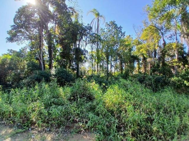 #879 - Terreno para Venda em Balneário Barra do Sul - SC