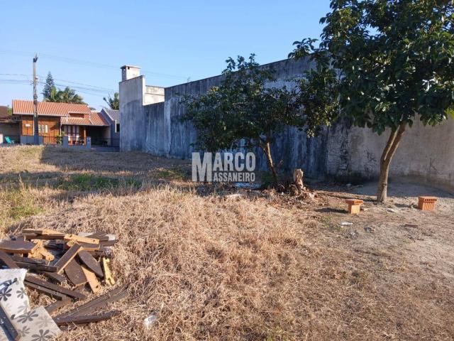 Terreno para Venda em Balneário Barra do Sul - 4