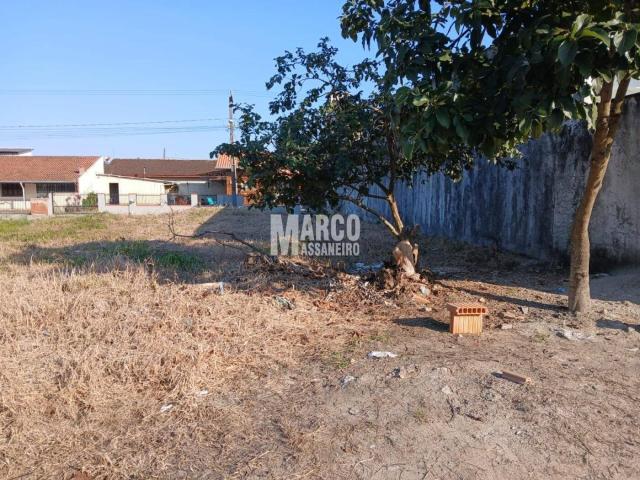 Terreno para Venda em Balneário Barra do Sul - 5