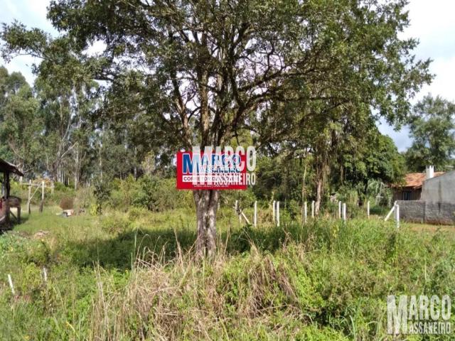 Terreno para Venda em Balneário Barra do Sul - 4